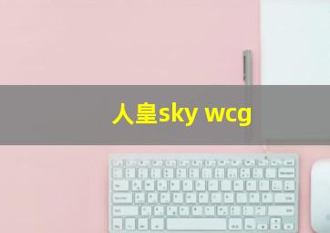 人皇sky wcg